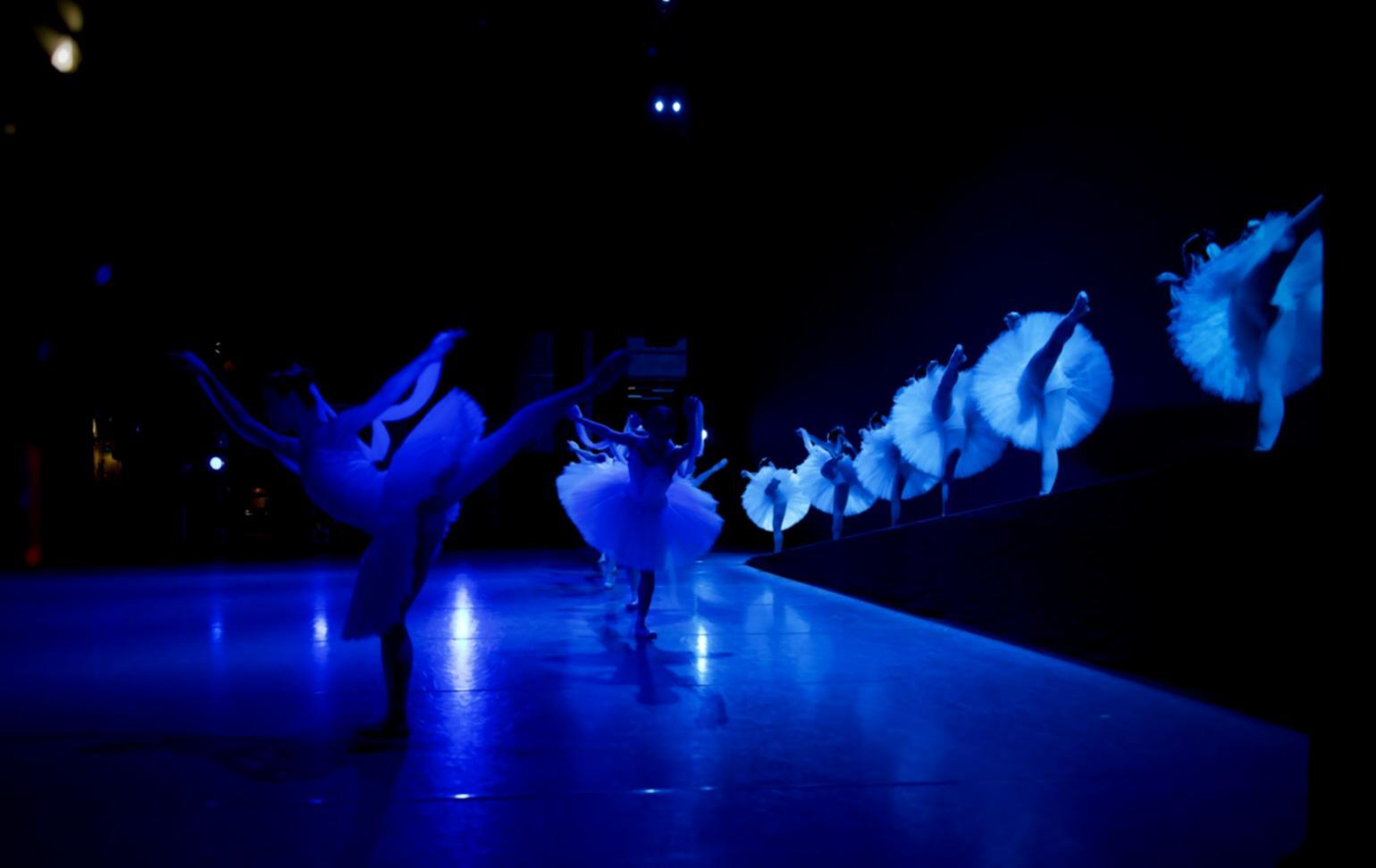 Eleganza della salsa in linea